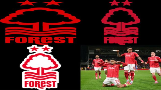 Nottingham Forest F.C. - Wikipedia
Notti