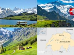 Switzerland Live Stream: How to Watch the Swiss National Team, Match Predictions, and Start Times